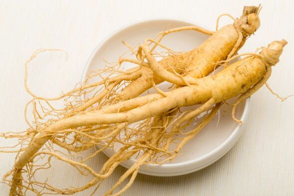 ginseng root for strength